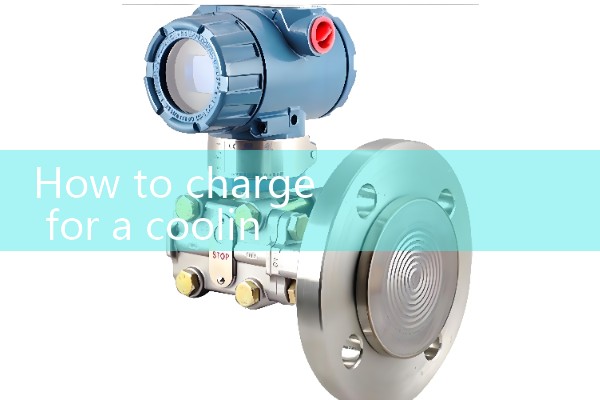 Cooling flow meter