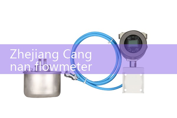 Wedge flowmeter manufacturer