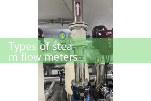 Steam flow meter type