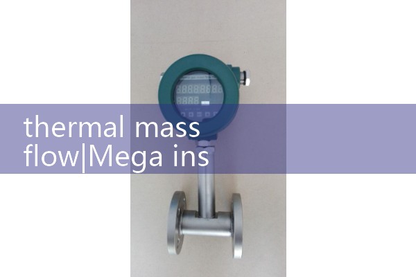 thermal mass flow|air flow meter