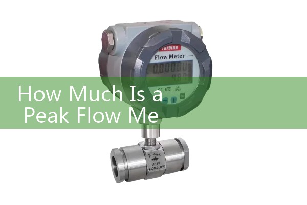 How Much Is a Peak Flow Meter: Remains an affordable, over-the-counter medical device for tracking asthma symptoms at home.
