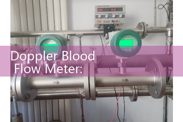Doppler Blood Flow Meter: Clinical Microvascular Velocity Perfusion Equipment