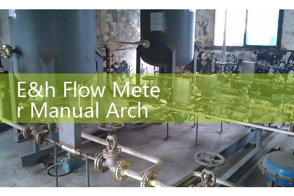 E&h Flow Meter Manual Archive: Find PDF Manuals for All Models