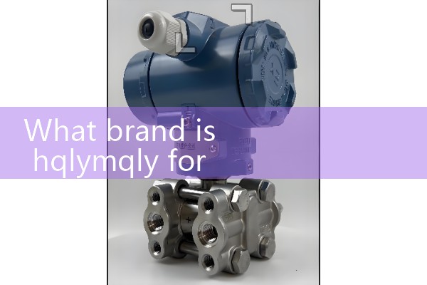 Gas waist wheel flowmeter brand