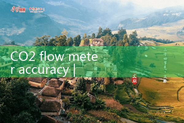 CO2 flow meter accuracy|clamp on meter