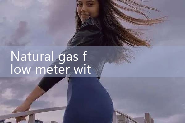 natural gas flow meter with temperature compensation|digital flow meter