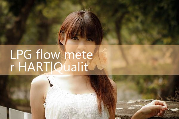 LPG flow meter HART|digital flow meter