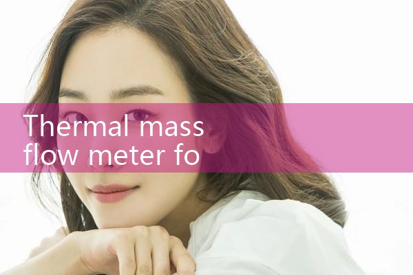 thermal mass flow meter for LPG|turbine flow meter
