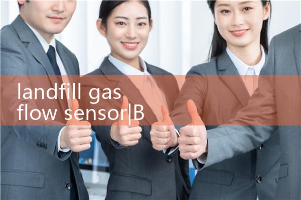 landfill gas flow sensor|digital flow meter
