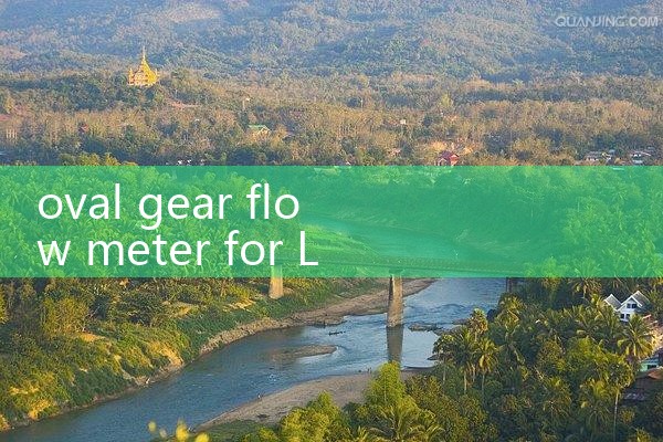 oval gear flow meter for LPG|digital flow meter