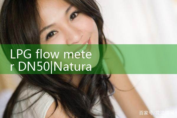 LPG flow meter DN50|digital flow meter