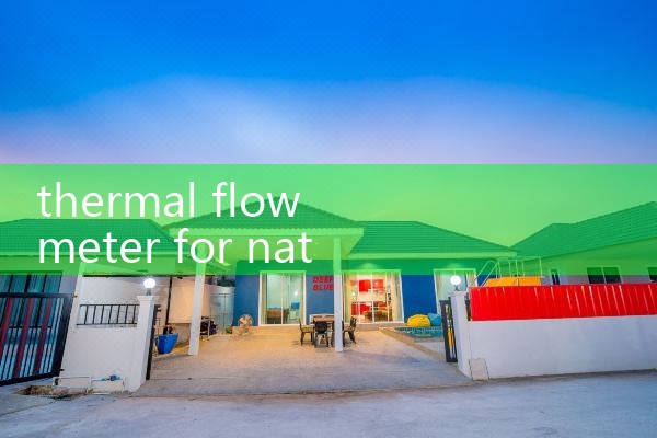 thermal flow meter for natural gas|digital flow meter