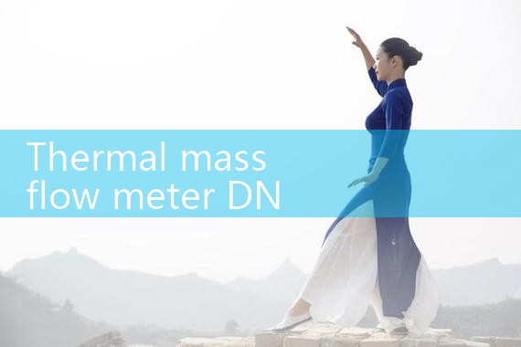 thermal mass flow meter DN200|turbine flow meter