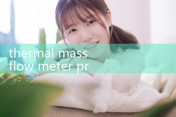 thermal mass flow meter price|turbine flow meter