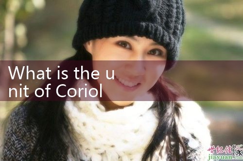 Coriolis natural gas flow meter|digital flow meter