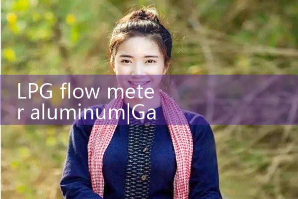 LPG flow meter aluminum|digital flow meter