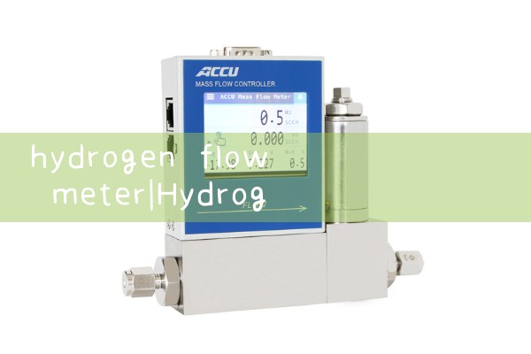 hydrogen flow meter|air flow meter