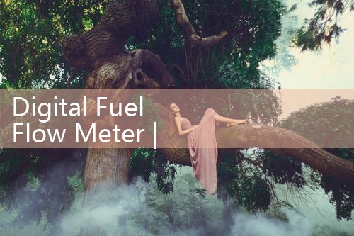 digital fuel flow meter|clamp on meter