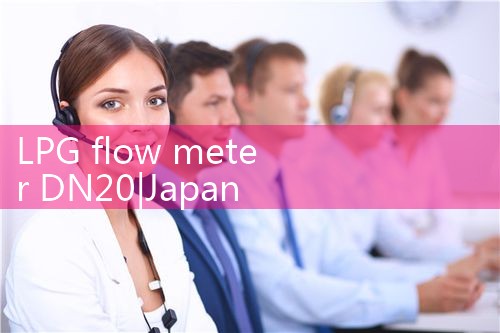 LPG flow meter DN20|digital flow meter