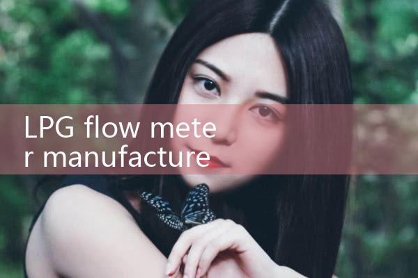 LPG flow meter manufacturer|digital flow meter