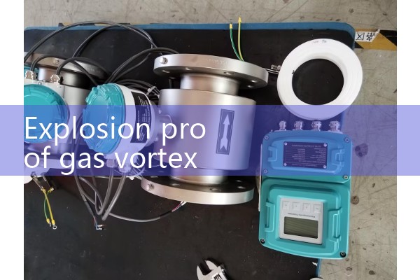 Explosion proof gas vortex flowmeter