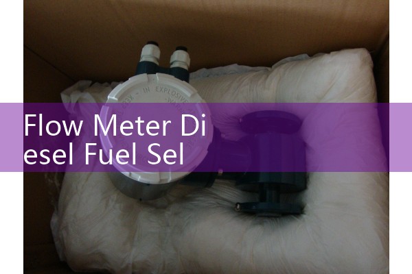 Flow Meter Diesel Fuel Selection: High-Accuracy Positive Displacement Meters for Fuel Skids