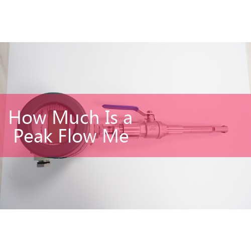 How Much Is a Peak Flow Meter: Remains an affordable, over-the-counter medical device for tracking asthma symptoms at home.