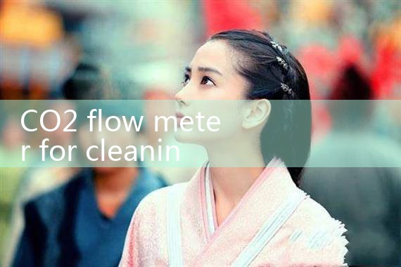 CO2 flow meter for cleaning|clamp on meter
