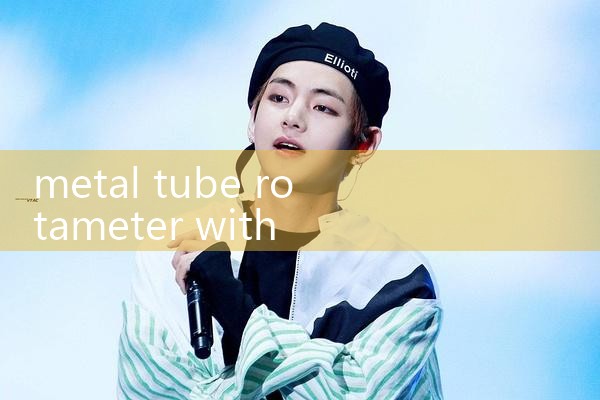 metal tube rotameter with totalizer|turbine flow meter