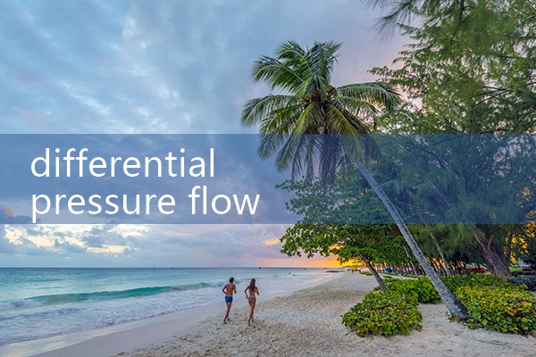 differential pressure flow meter LPG|digital flow meter
