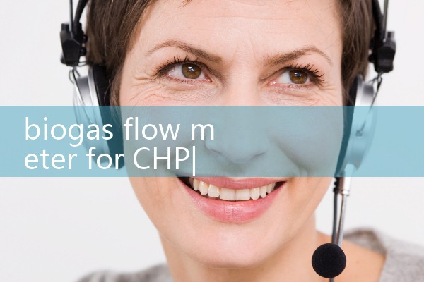 LPG flow meter China|digital flow meter