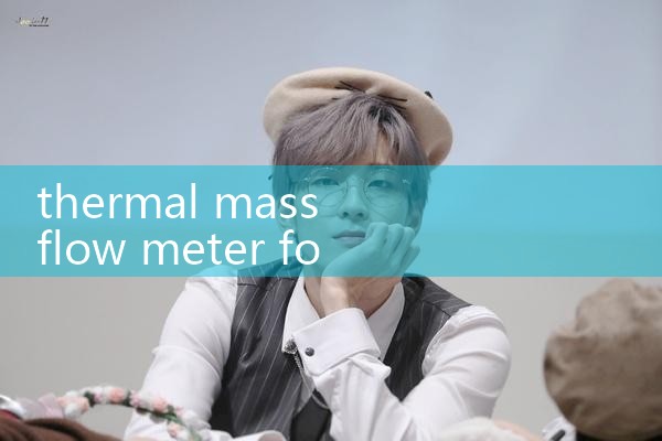 thermal mass flow meter for stack|turbine flow meter