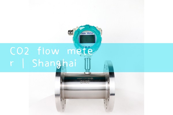 co2 flow meter|air flow meter