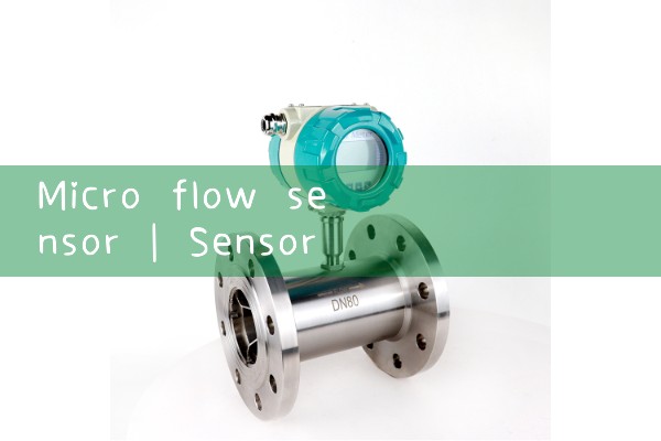 micro flow sensor|magnetic flow meter