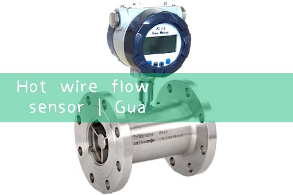 hot wire flow sensor|air flow meter