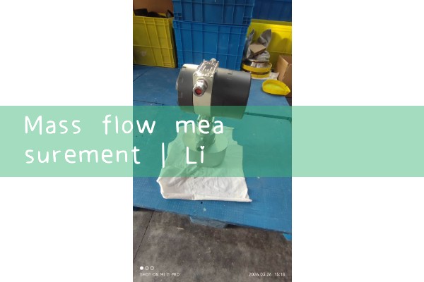 mass flow measurement|air flow meter